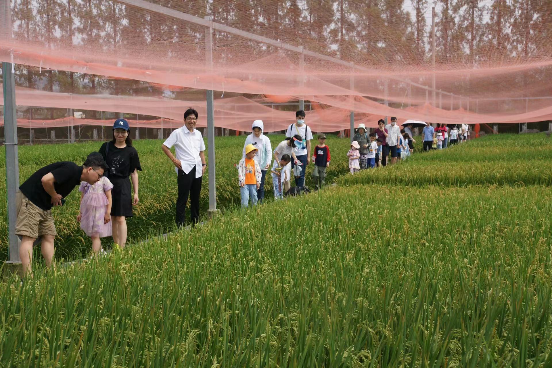 一粒种子一朵小花一棵青菜农科开放日市民探寻农业故事