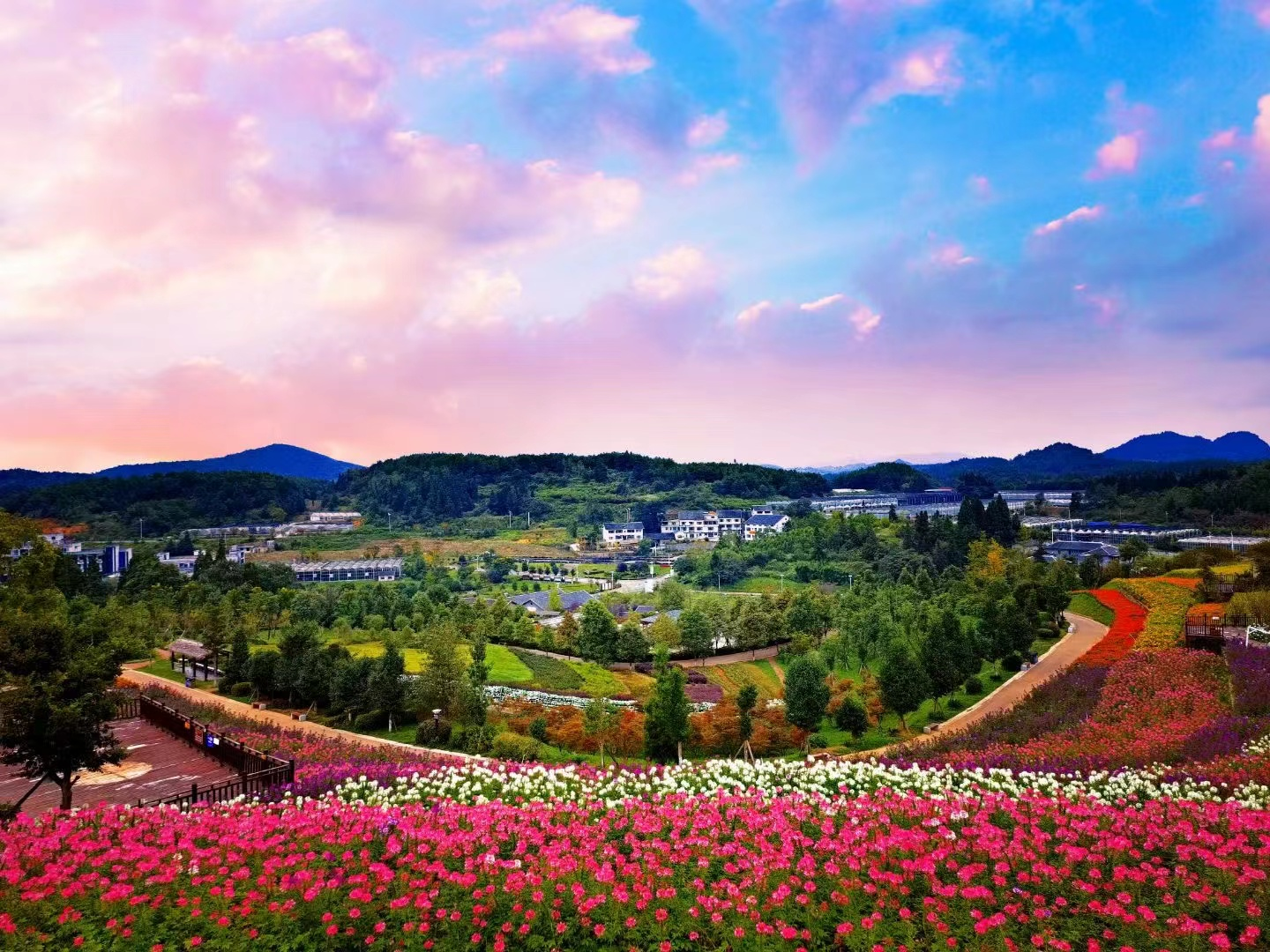 避暑度假到贵州相约到贵阳看花海
