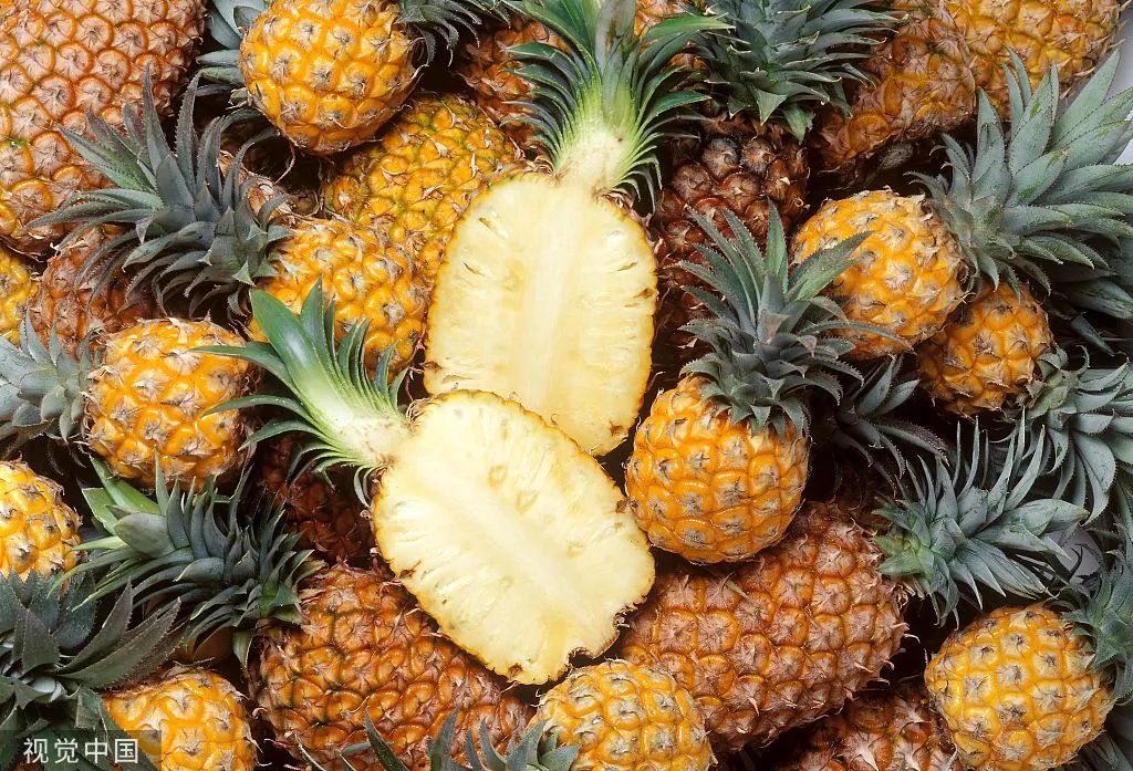 菠萝泡在盐水中竟然没啥用真相是