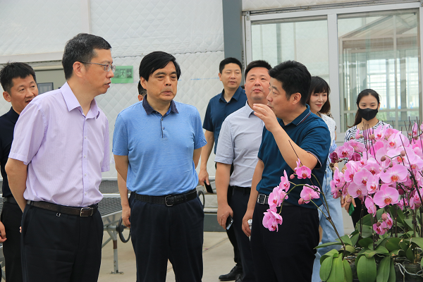 江苏省农业农村厅赴江宁区调研农业农村重大项目建设