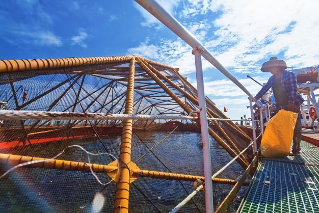 高科技钢铁浮岛 铸起福州连江现代化海洋牧场休闲区蓝鸢梦想 - Www.slyday.coM