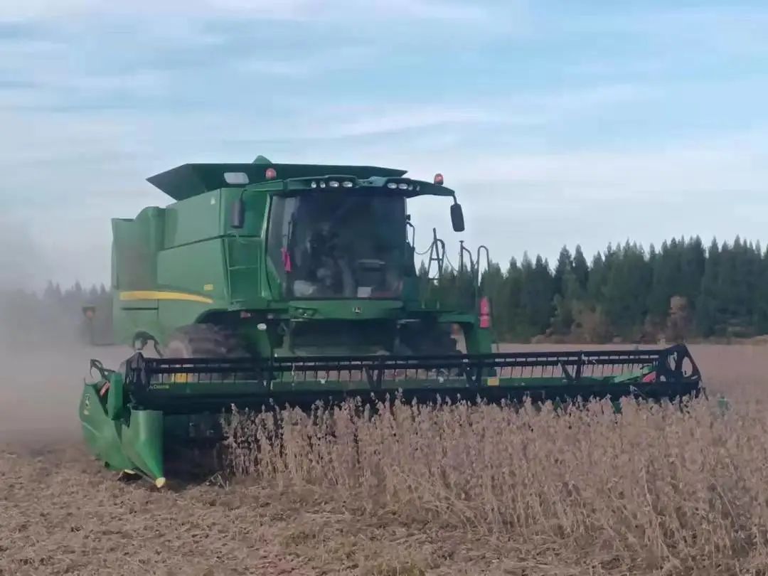【大国粮仓】黑龙江省粮食总产连续十二年位居全国第一休闲区蓝鸢梦想 - Www.slyday.coM