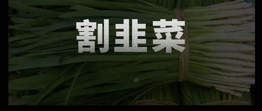 23亿理财暴雷！割游戏玩家的米哈游，疑被割韭菜！招行卷入漩涡