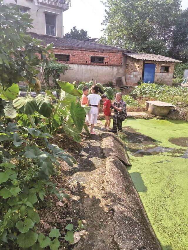 长沙县资讯｜5岁女孩掉落池塘 六旬老人及时救起
