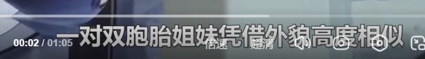 双胞胎姐妹互换身份违法出国，电视剧果然源于生活，目前双双被抓休闲区蓝鸢梦想 - Www.slyday.coM