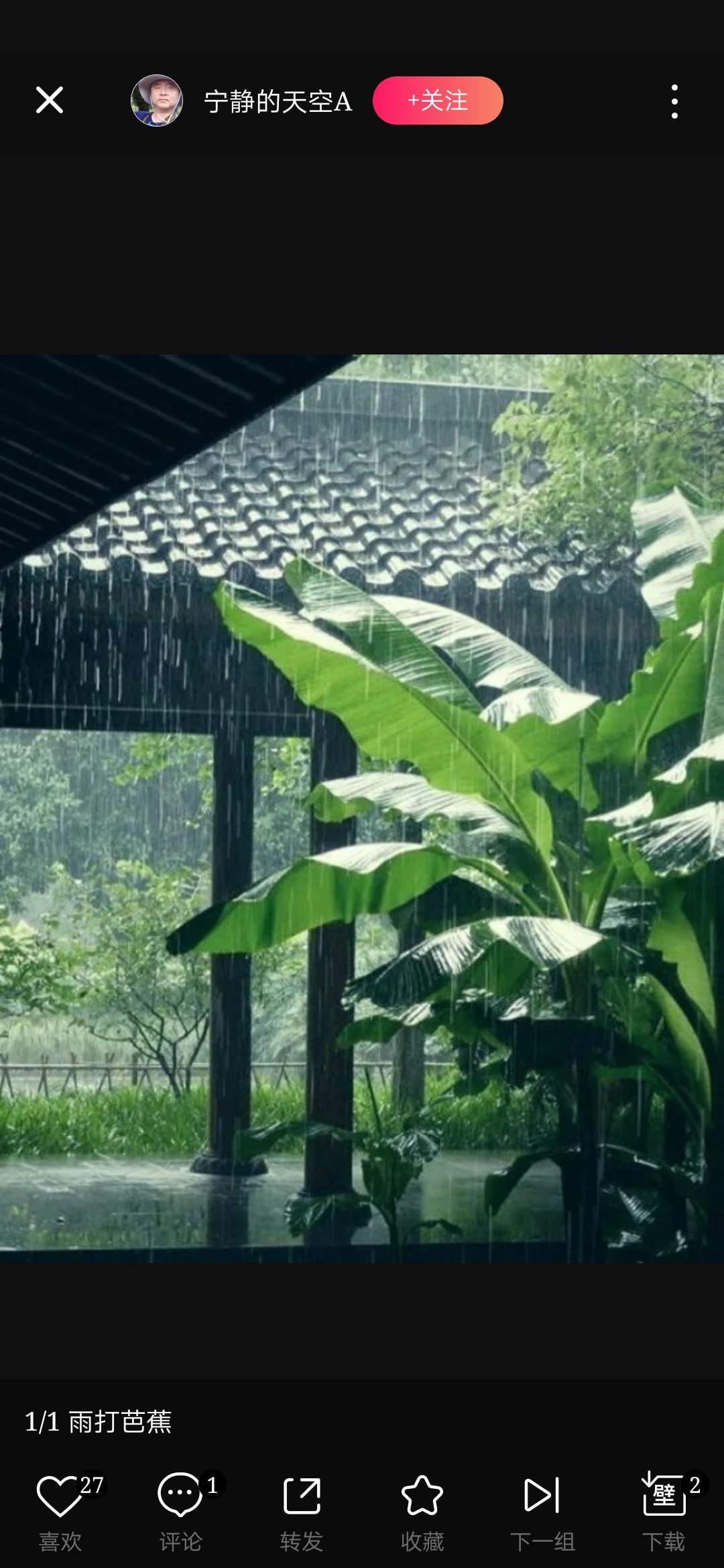 听雨轩雨打芭蕉图片