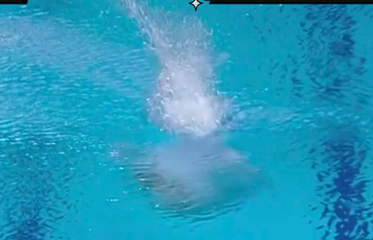 全红婵哭了,陈芋汐也哭了!0.3分绝杀夺冠,上帝都写不出这剧本休闲区蓝鸢梦想 - Www.slyday.coM 全红婵哭了,陈芋汐也哭了!0.3分绝杀夺冠,上帝都写不出这剧本休闲区蓝鸢梦想 - Www.slyday.coM