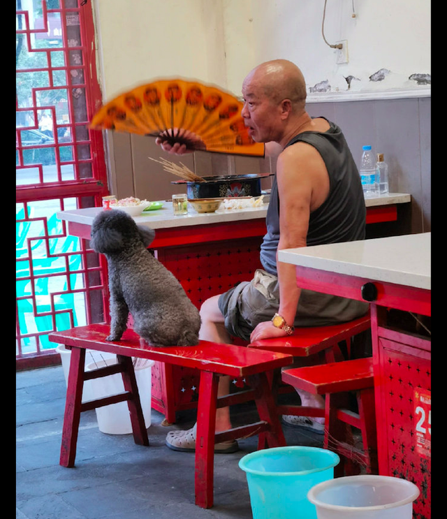 大爷吃饭时怕狗狗热，拿出扇子给它也扇一扇，是真的爱狗呀！休闲区蓝鸢梦想 - Www.slyday.coM