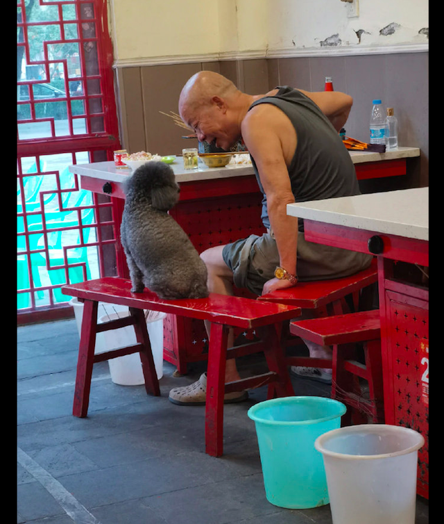 大爷吃饭时怕狗狗热，拿出扇子给它也扇一扇，是真的爱狗呀！休闲区蓝鸢梦想 - Www.slyday.coM