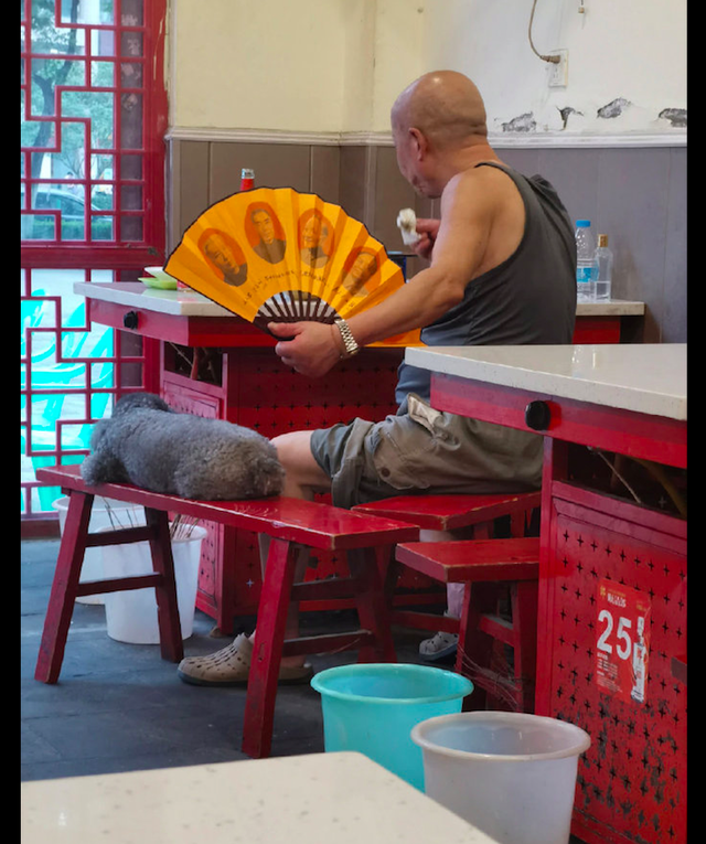 大爷吃饭时怕狗狗热，拿出扇子给它也扇一扇，是真的爱狗呀！休闲区蓝鸢梦想 - Www.slyday.coM