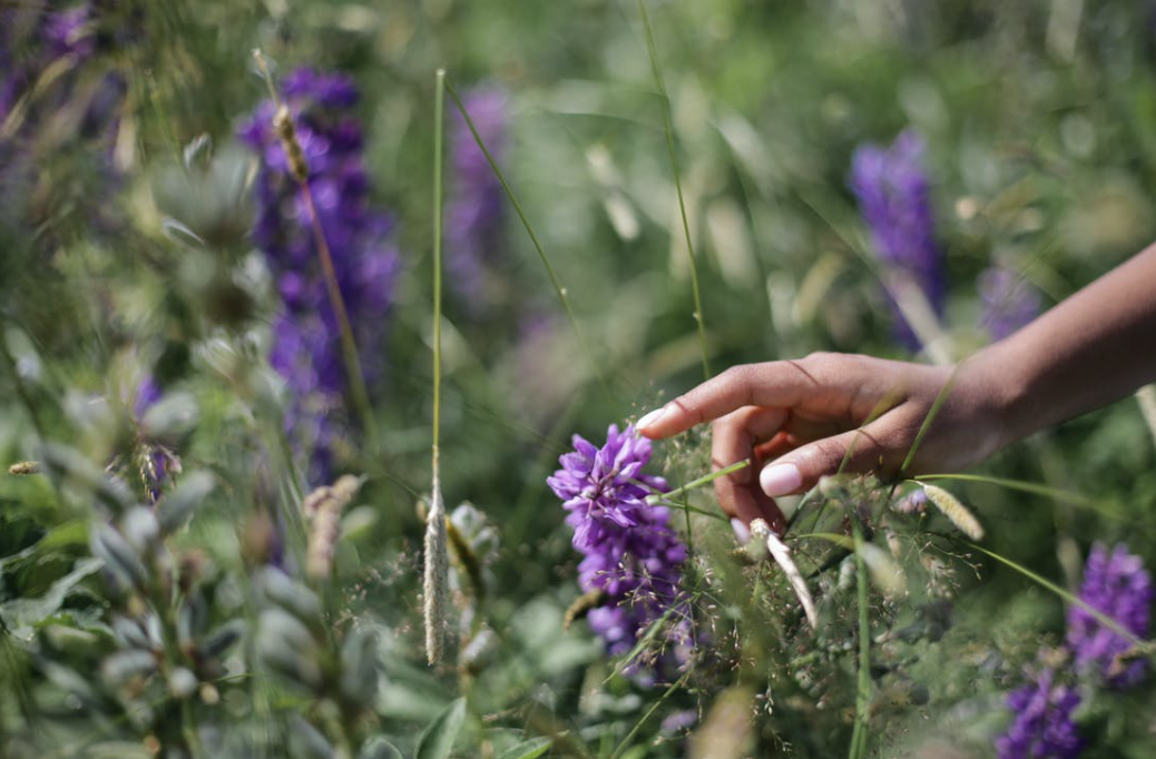 “儿媳，我家全款买房，彩礼再给16万，你家负责装修和买车就行”休闲区蓝鸢梦想 - Www.slyday.coM