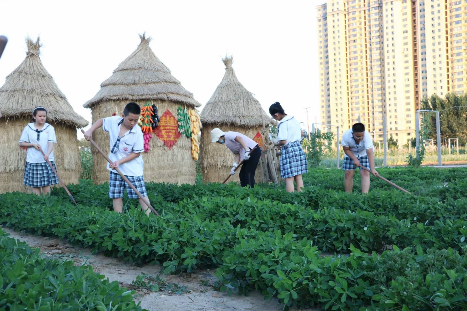 【烟台日报】龙口开展"劳动美"社会实践活动 帮未成年人扣好"人生第一