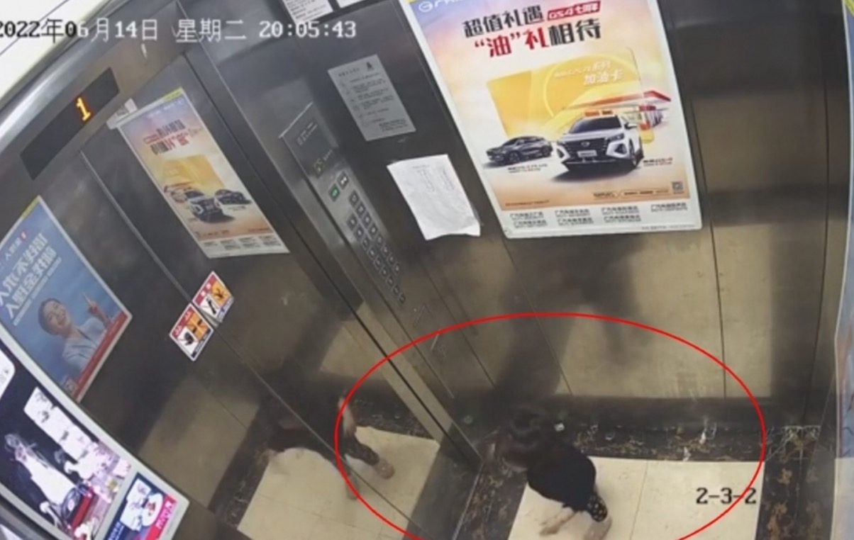 杭州2岁女童被保姆遗留电梯后坠楼身亡，父亲讲述更多细节休闲区蓝鸢梦想 - Www.slyday.coM