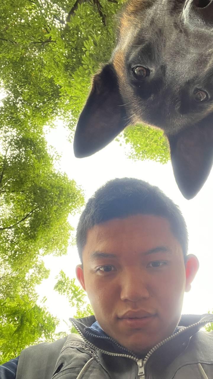 “大意了大意了！”杭州搜救犬顶翻新手训导员，如此名场面估计能记一辈子休闲区蓝鸢梦想 - Www.slyday.coM