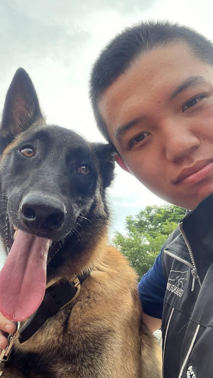 “大意了大意了！”杭州搜救犬顶翻新手训导员，如此名场面估计能记一辈子休闲区蓝鸢梦想 - Www.slyday.coM