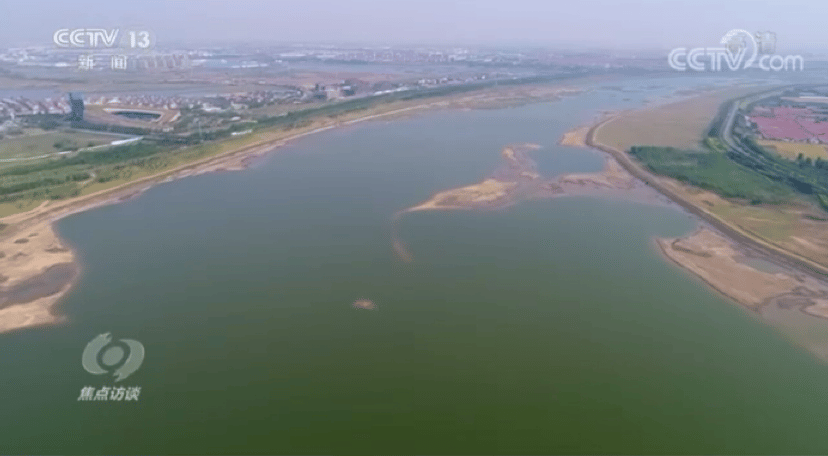 《焦点访谈》节目截图