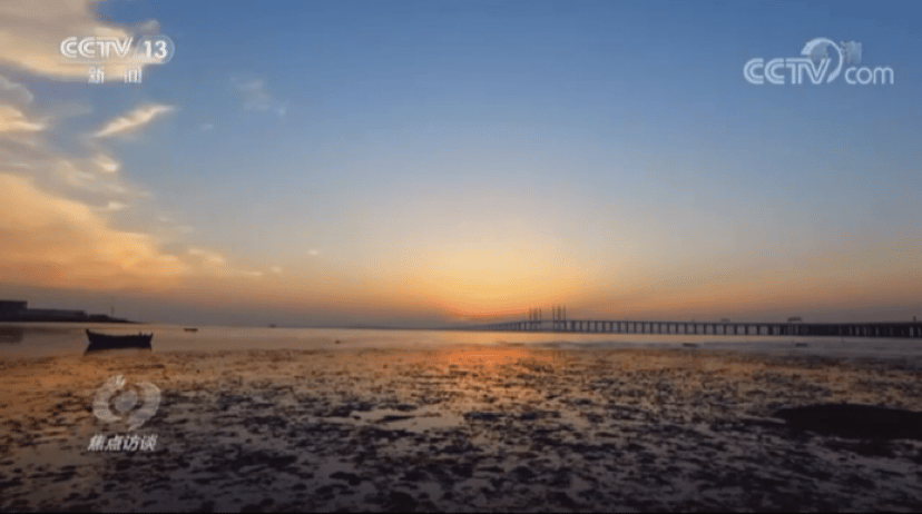 《焦点访谈》节目截图