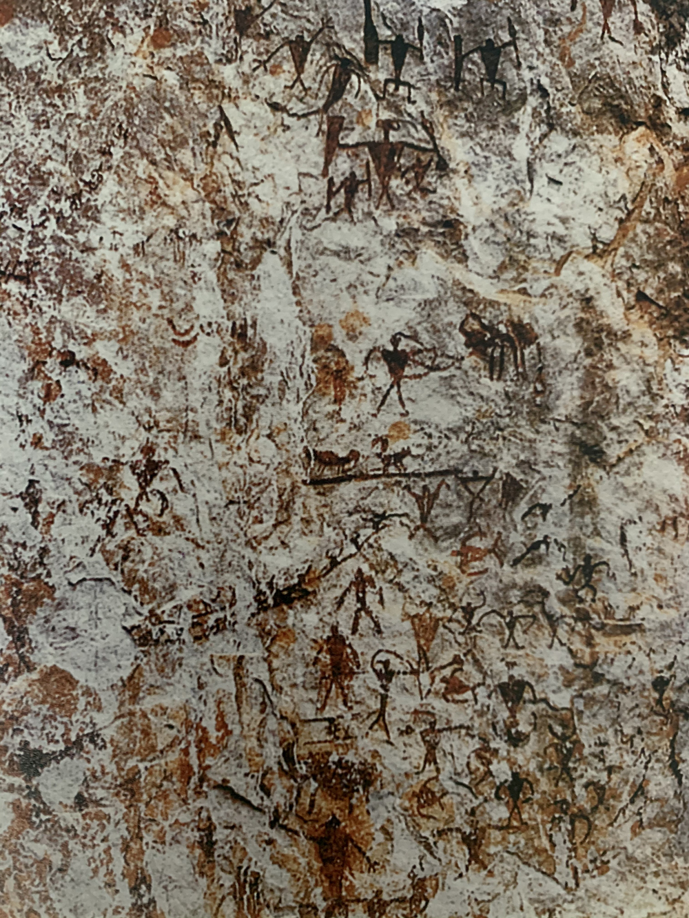 巫鸿中国绘画从岩画开始了解中国早期绘画的独特性格