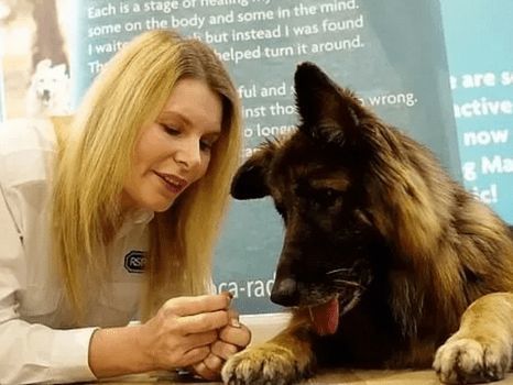 德牧湖里不停挣扎，好心人想把它拉上来，发现狗身上绑着大石头！休闲区蓝鸢梦想 - Www.slyday.coM