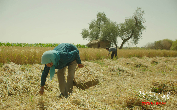 电影《隐入尘烟》官宣定档7月8日 主演海清真情刻画诠释乡土情怀休闲区蓝鸢梦想 - Www.slyday.coM 电影《隐入尘烟》官宣定档7月8日 主演海清真情刻画诠释乡土情怀休闲区蓝鸢梦想 - Www.slyday.coM