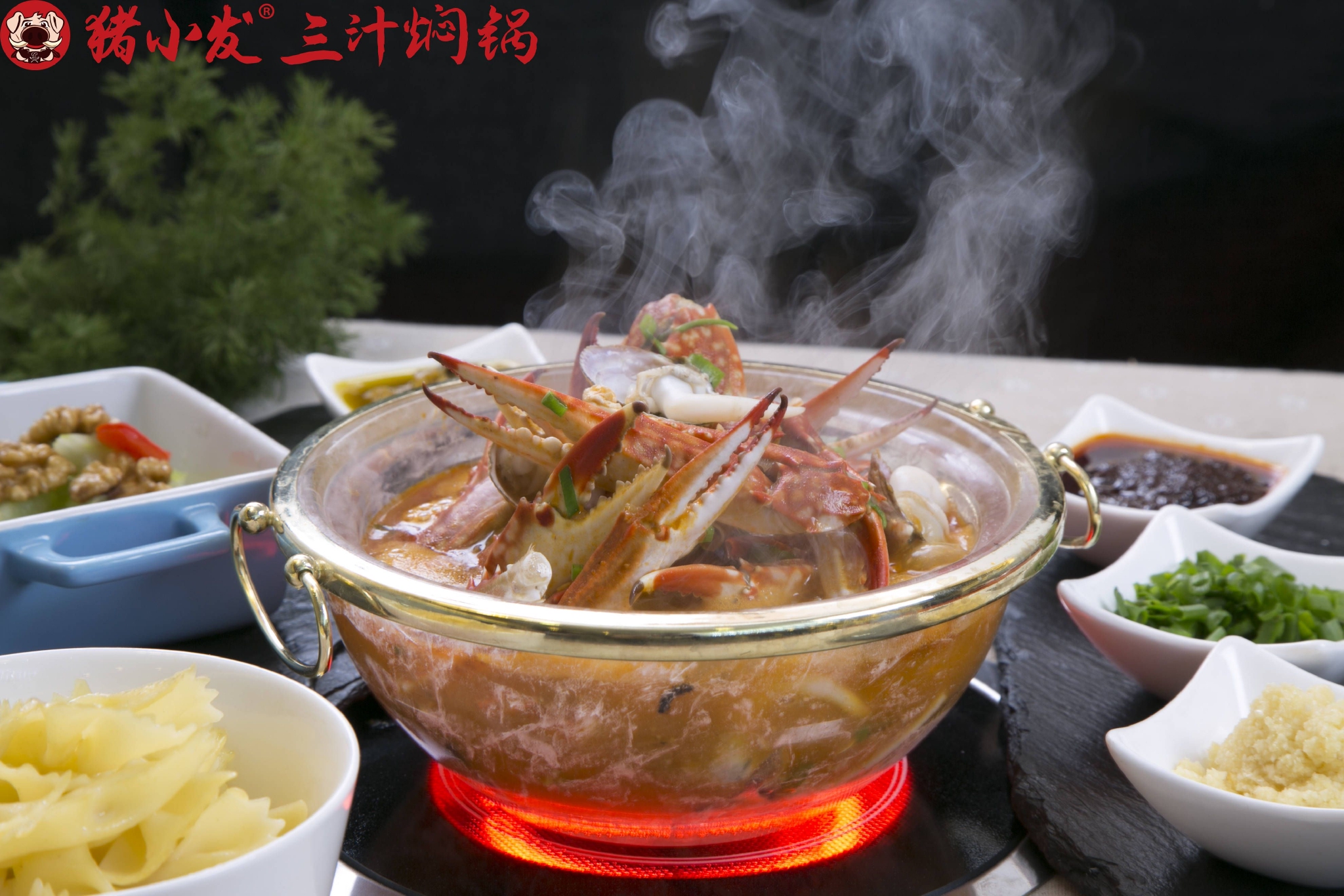 猪小发说一个人最重要的就是坚守自我休闲区蓝鸢梦想 - Www.slyday.coM