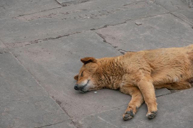 成都周边有一个非常有趣的寺庙，藏在洞穴下，不说你肯定不知道休闲区蓝鸢梦想 - Www.slyday.coM