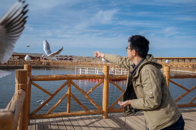 内蒙古还有这么漂亮的一个绿洲,来额济纳旗可以看一下休闲区蓝鸢梦想 - Www.slyday.coM 内蒙古还有这么漂亮的一个绿洲,来额济纳旗可以看一下休闲区蓝鸢梦想 - Www.slyday.coM