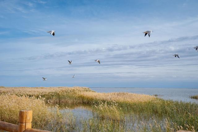 内蒙古还有这么漂亮的一个绿洲,来额济纳旗可以看一下休闲区蓝鸢梦想 - Www.slyday.coM 内蒙古还有这么漂亮的一个绿洲,来额济纳旗可以看一下休闲区蓝鸢梦想 - Www.slyday.coM