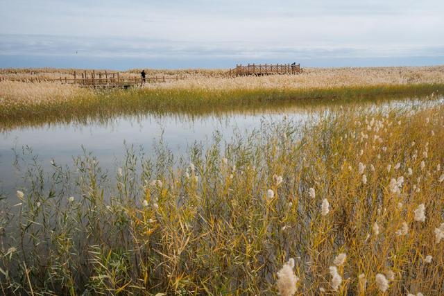 内蒙古还有这么漂亮的一个绿洲,来额济纳旗可以看一下休闲区蓝鸢梦想 - Www.slyday.coM 内蒙古还有这么漂亮的一个绿洲,来额济纳旗可以看一下休闲区蓝鸢梦想 - Www.slyday.coM