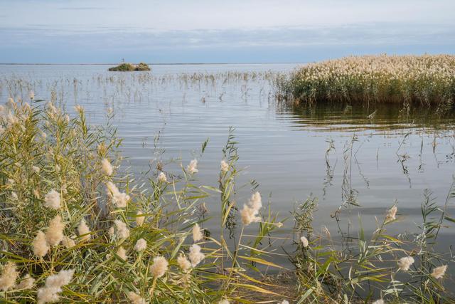 内蒙古还有这么漂亮的一个绿洲,来额济纳旗可以看一下休闲区蓝鸢梦想 - Www.slyday.coM 内蒙古还有这么漂亮的一个绿洲,来额济纳旗可以看一下休闲区蓝鸢梦想 - Www.slyday.coM