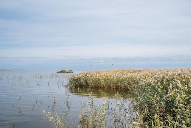 内蒙古还有这么漂亮的一个绿洲,来额济纳旗可以看一下休闲区蓝鸢梦想 - Www.slyday.coM 内蒙古还有这么漂亮的一个绿洲,来额济纳旗可以看一下休闲区蓝鸢梦想 - Www.slyday.coM