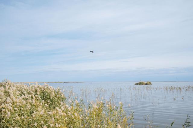 内蒙古还有这么漂亮的一个绿洲,来额济纳旗可以看一下休闲区蓝鸢梦想 - Www.slyday.coM 内蒙古还有这么漂亮的一个绿洲,来额济纳旗可以看一下休闲区蓝鸢梦想 - Www.slyday.coM