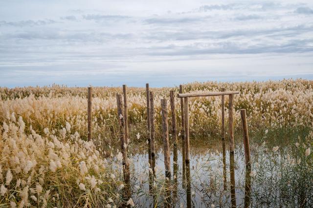 内蒙古还有这么漂亮的一个绿洲,来额济纳旗可以看一下休闲区蓝鸢梦想 - Www.slyday.coM 内蒙古还有这么漂亮的一个绿洲,来额济纳旗可以看一下休闲区蓝鸢梦想 - Www.slyday.coM
