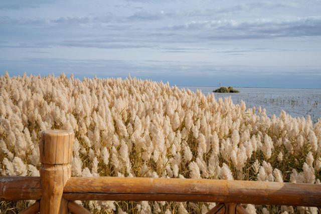 内蒙古还有这么漂亮的一个绿洲,来额济纳旗可以看一下休闲区蓝鸢梦想 - Www.slyday.coM 内蒙古还有这么漂亮的一个绿洲,来额济纳旗可以看一下休闲区蓝鸢梦想 - Www.slyday.coM