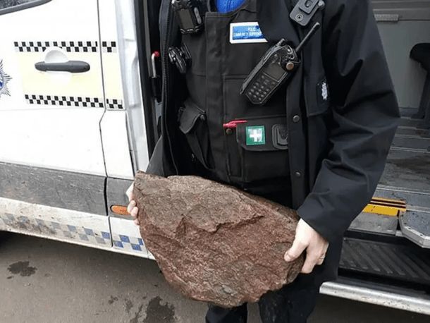 德牧湖里不停挣扎，好心人想把它拉上来，发现狗身上绑着大石头！休闲区蓝鸢梦想 - Www.slyday.coM