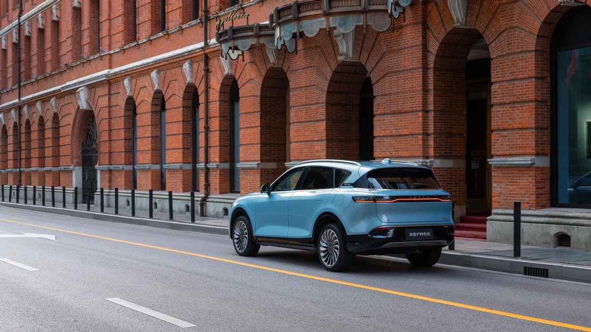 岚图FREE被爆发生明火，官方回应：局部受损，积极配合调查休闲区蓝鸢梦想 - Www.slyday.coM