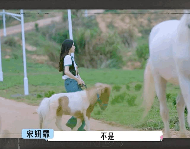 《五十公里桃花坞》,争议当真是王道吗?休闲区蓝鸢梦想 - Www.slyday.coM 《五十公里桃花坞》,争议当真是王道吗?休闲区蓝鸢梦想 - Www.slyday.coM