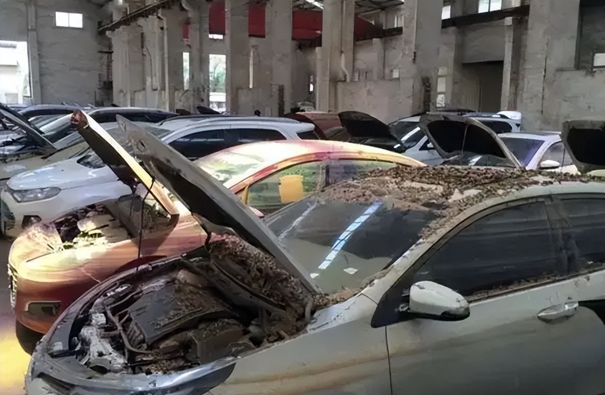 各地暴雨水泡车大量流入市场，真的很便宜但值得买吗？休闲区蓝鸢梦想 - Www.slyday.coM