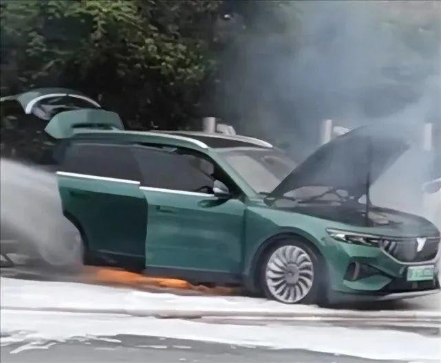 岚图FREE被爆发生明火，官方回应：局部受损，积极配合调查休闲区蓝鸢梦想 - Www.slyday.coM