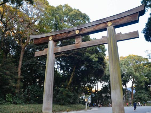 明治神宫,隐藏在东京市里的大森林。|明治神宫|神宫|皇太后_新浪新闻