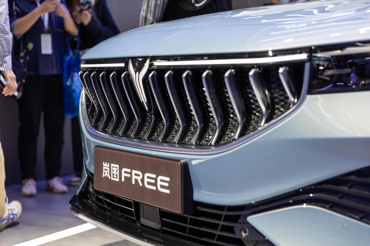 岚图FREE被爆发生明火，官方回应：局部受损，积极配合调查休闲区蓝鸢梦想 - Www.slyday.coM