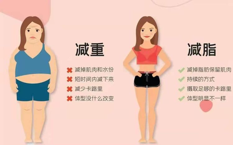 如何让背部看起来更薄，打造紧致薄背，而是减脂和纠正体态？休闲区蓝鸢梦想 - Www.slyday.coM