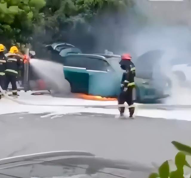 岚图汽车首曝自燃，卢放曾强调不会起火，2022年交付目标恐难完成休闲区蓝鸢梦想 - Www.slyday.coM