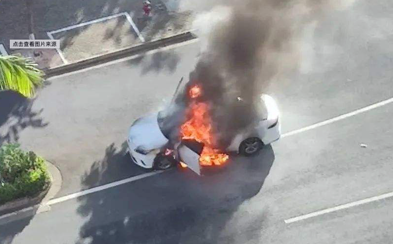 岚图FREE被爆发生明火，官方回应：局部受损，积极配合调查休闲区蓝鸢梦想 - Www.slyday.coM