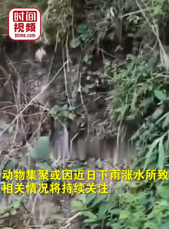 这意味着什么？四川多地出现“七彩祥云”！泸州隔一天又来了休闲区蓝鸢梦想 - Www.slyday.coM