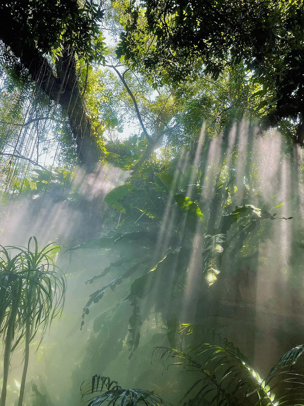 当丁达尔效应发生时光就有了形状