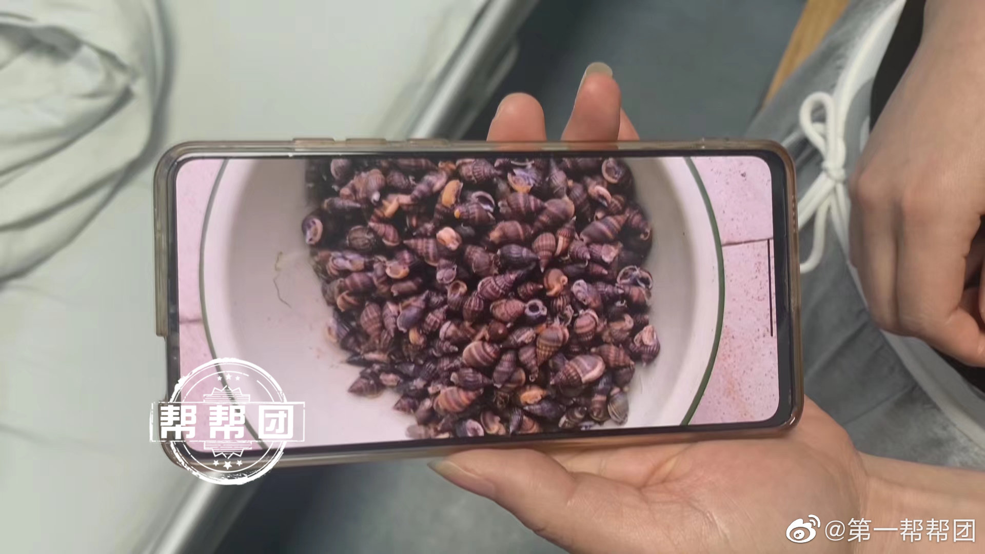 福州一对夫妇食用织纹螺，双双食物中毒休闲区蓝鸢梦想 - Www.slyday.coM