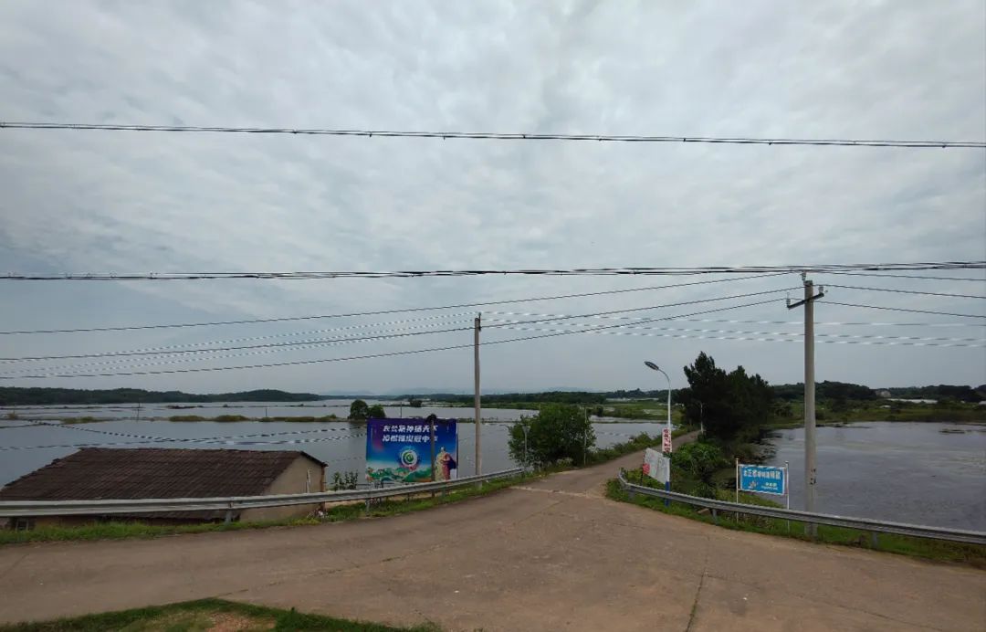 380元/斤，“辣椒中的爱马仕”也有烦恼休闲区蓝鸢梦想 - Www.slyday.coM