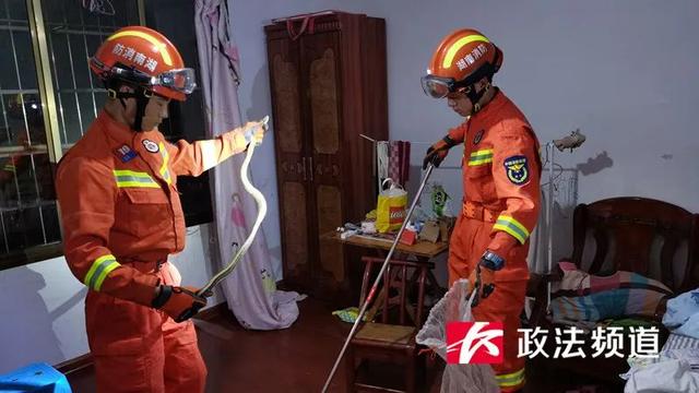 吓人！长沙县一女住户惊慌报警，蛇从空调里钻了出来休闲区蓝鸢梦想 - Www.slyday.coM