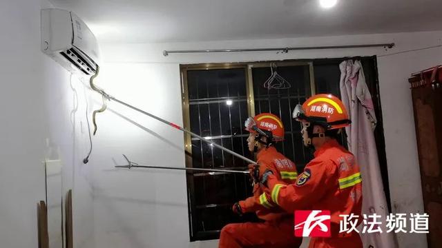 吓人！长沙县一女住户惊慌报警，蛇从空调里钻了出来休闲区蓝鸢梦想 - Www.slyday.coM